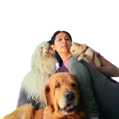 Diseño sin título (50)